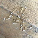 Lexie Bergan (15).webp